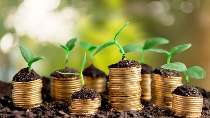 PIB Agro/Cepea: Agronegócio paulista cresce 8,3% em 2020 e representa 14% do PIB do estado
