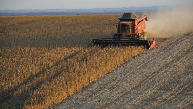 Paraná deverá produzir 40 milhões de toneladas de grãos