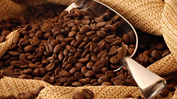 Café: Preço do arábica sobe mais de R$ 48/sc em fevereiro