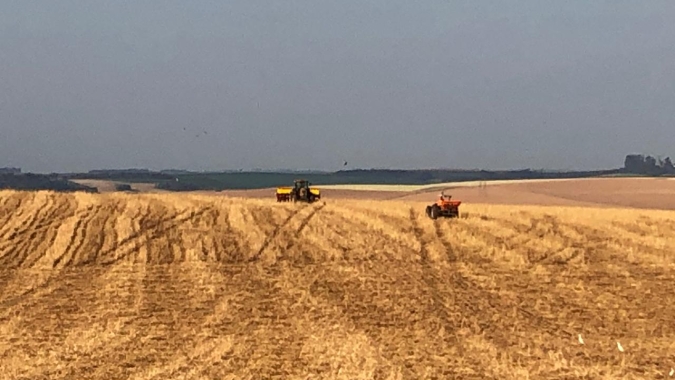 Agricultores podem acessar programa de emergência para replantio de milho em SC