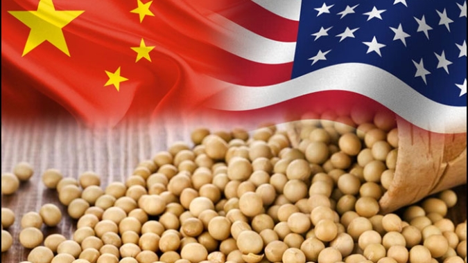Soja: Mercado em Chicago mantém estabilidade nesta 4ª com foco nas relações China x EUA