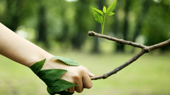 Aprovação do licenciamento ambiental pode destravar obras e empreendimentos fundamentais para o desenvolvimento do Brasil