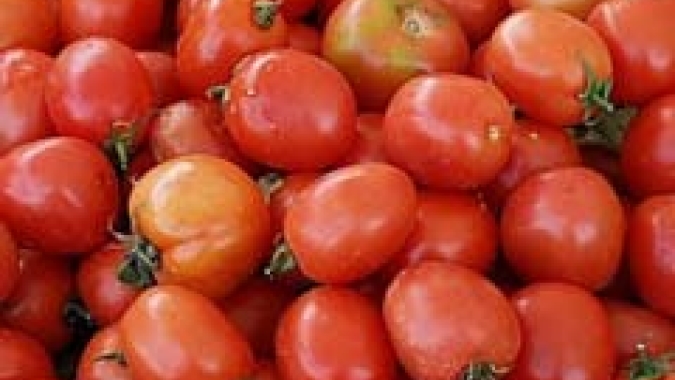 Tomate/Cepea: Preços seguem sem grandes alterações nos atacados