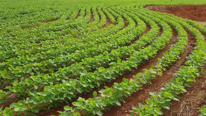 Produção sustentável tem crescimento no país