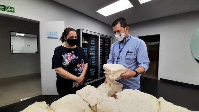 Laboratório pronto para a colheita de algodão em Goiás