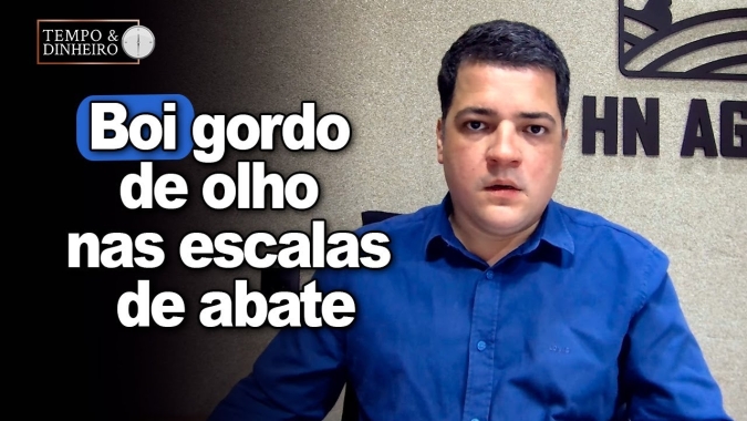 Boi gordo de olho nas escalas de abate e pressão nos preços. Hyberville Neto comenta