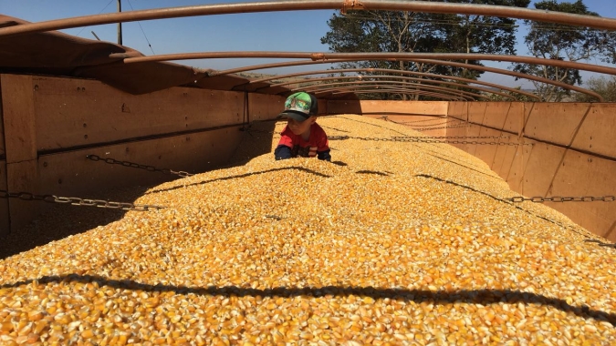 Safra de milho tem problemas de desenvolvimento no Paraguai e preços para a venda não são atrativos