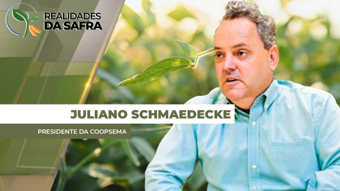 Colheita da soja avança em Maracaju/MS com produtividades entre 30 e 80 sc/ha
