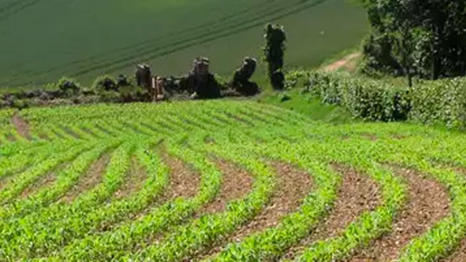Decisão do STJ sobre responsabilidade por dano ambiental em imóvel rural traz alerta a compradores e arrendatários; entenda