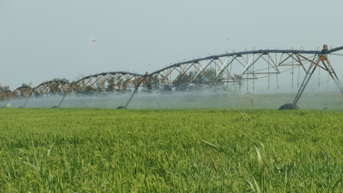 Zoneamento Agrícola de Risco Climático do arroz irrigado é atualizado para Santa Catarina e parte do Paraná