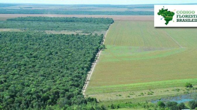 Desmatamento da Amazônia atinge recorde para abril, quase o dobro do pico anterior