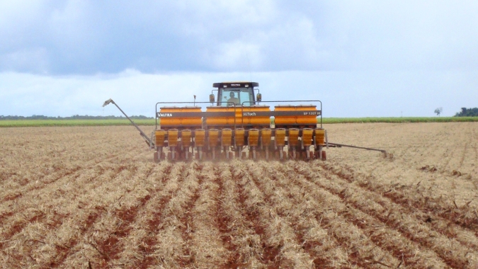 Plantio de soja do Brasil avança pouco em meio a chuvas irregulares, diz Pátria AgroNegócios