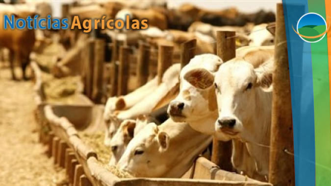 A pedido do presidente da Faeg, Mapa prorroga Reserva de Abate