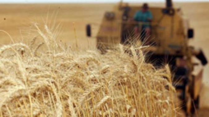 RS: Clima seco propicia avanço na colheita do trigo que chega a 28%