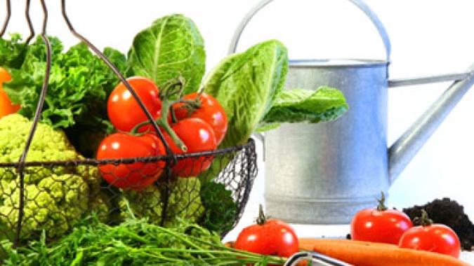 HF Brasil/Cepea: O que o setor de hortifruti espera para os próximos 20 anos?