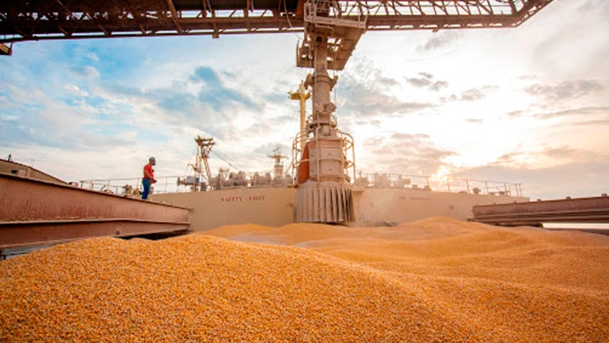 Exportação de milho pode perder força no final de 2020, mas volume do cereal será absorvido pelo mercado interno
