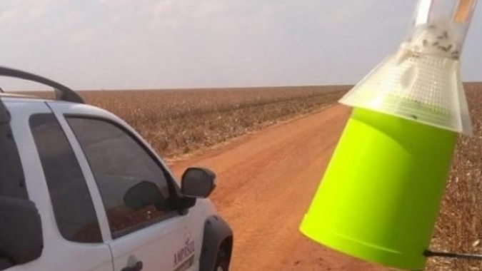 Ampasul anuncia controle eficiente do bicudo no GTA