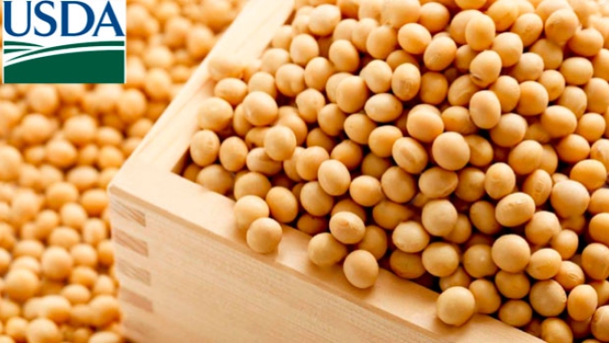 USDA: Embarques semanais de soja, milho e trigo dos EUA ficam dentro das expectativas