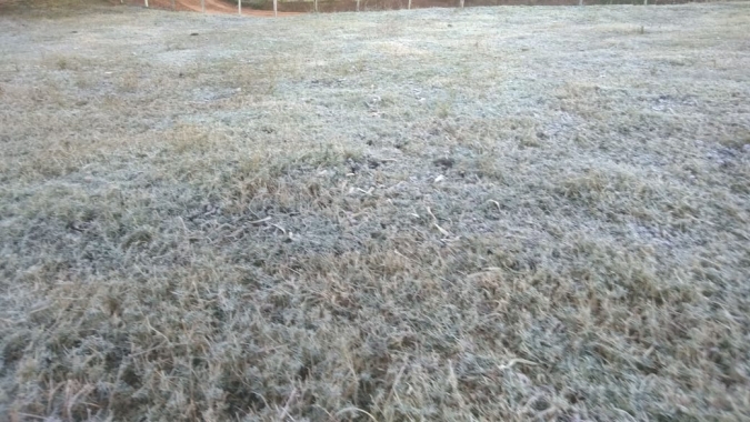 IDR-Paraná e Simepar alertam para risco de geadas em todo o estado do Paraná