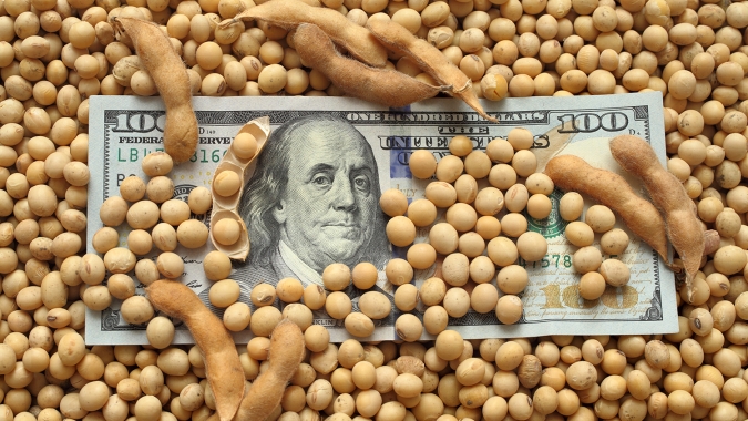 Guerra comercial entre EUA e China, PSA e estiagem causaram mais impactos negativos ao segmento de grãos do que Covid-19