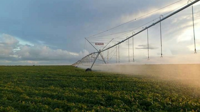 Desenvolve SP e Secretaria de Agricultura de SP estudam implementar linha de crédito para incentivar irrigação fotovoltaica