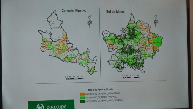 Clima e café: Cerrado Mineiro tem quebra de 15% na produtividade, mas compensa com grãos de boa qualidade