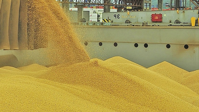 Com tempo mais seco, embarques de soja do Brasil devem ganhar ritmo após atrasos