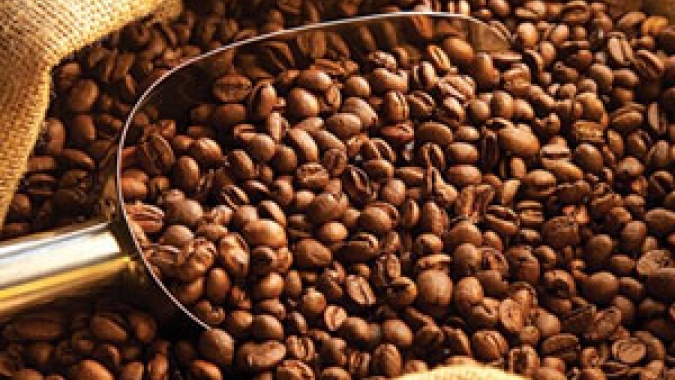Café: Exportação global de café recua 4,4% em outubro e preocupação com oferta volta a dar novo suporte de alta