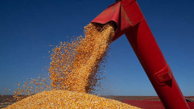 Superávit da balança comercial de MS no 1º bimestre de 2021 fecha em US$ 175 milhões
