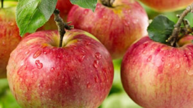Maçã: Perdas na Ceagesp são menos intensas frente às demais frutas