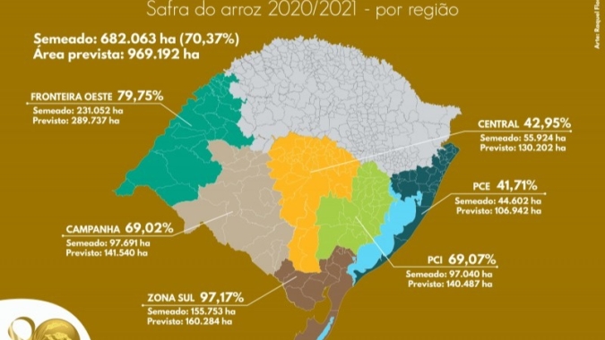Área semeada com arroz no RS atinge 70% nesta semana