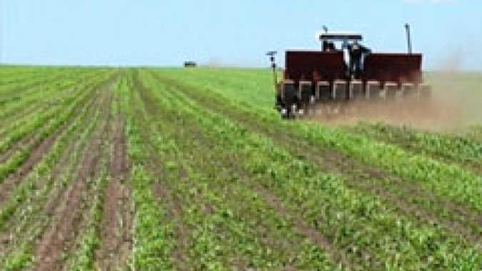 Agro: Guerra pode modificar formas de negociação com empresas do agronegócio brasileiro