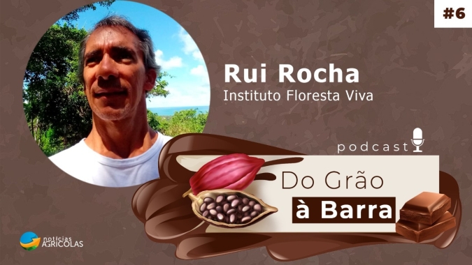 Do Grão à Barra #6 - Estudo demonstra a realidade socioeconômica de produtores de cacau do litoral sul da Bahia