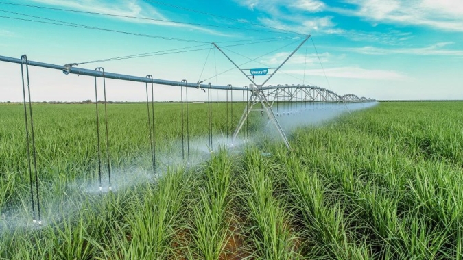 1º ranking dos canaviais irrigados apura que produtividade real no CS está distante da teórica
