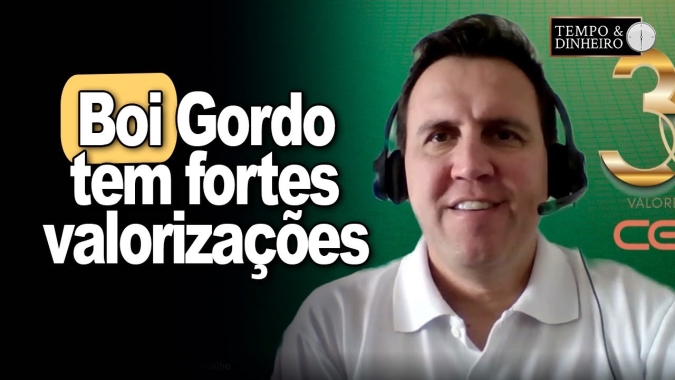 Boi gordo tem fortes valorizações e atacado com negócios acima de R$23,00 kg, informa T. Bernardino