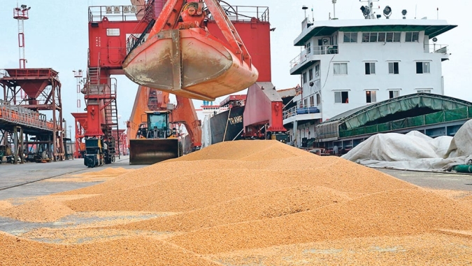 Soja: Enquanto negócios com os EUA só devem sair a partir de 15 de fevereiro, China compra no BR