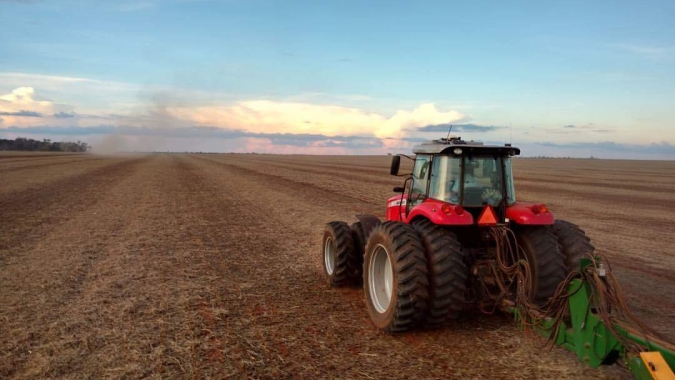 Colheita de soja em MT atinge 44,5% da área; plantio de milho chega a 38,9%