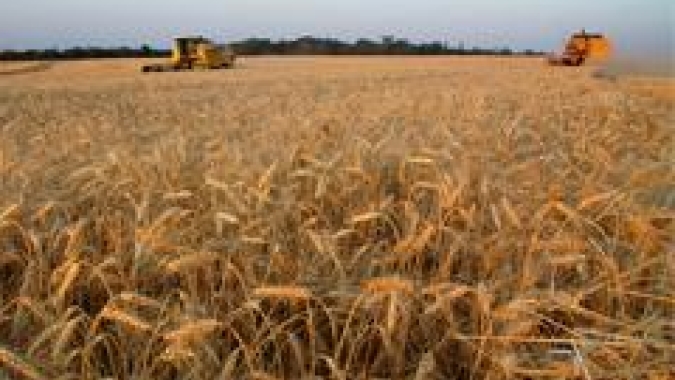 Emater: Colheita do trigo está praticamente encerrada no Rio Grande do Sul