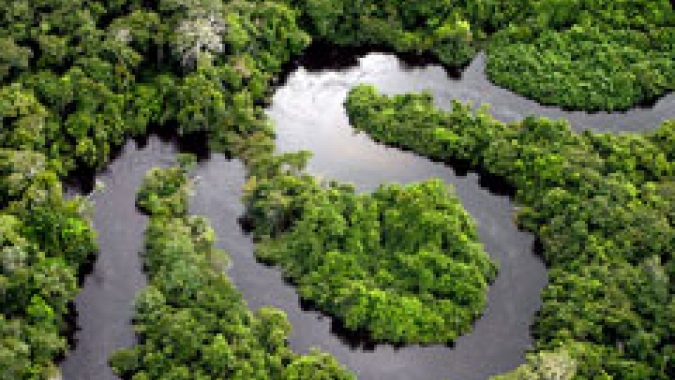 Marina diz que Fundo Clima do Brasil pode chegar a US$4 bi em recursos, Fundo Amazônia a R$6 bi