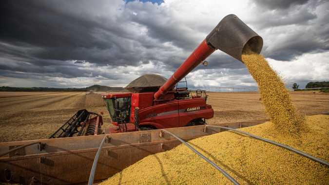 Agrural: Colheita de soja chega a 74% da área no Brasil