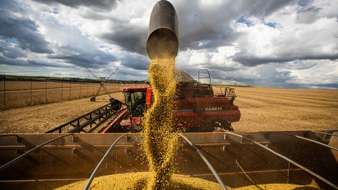 AgResource indica colheita da soja no Brasil em 77,4% da área