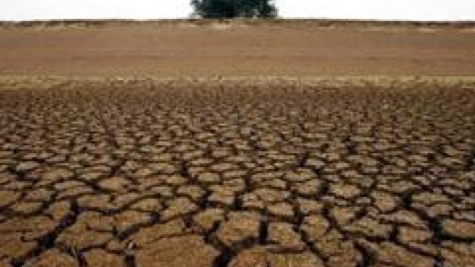 Diagnóstico da seca no Paraná aponta prejuízos bilionários