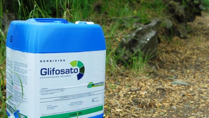 Glifosato e seu sal de monoisopropilamina têm imposto de importação cortado mais que pela metade