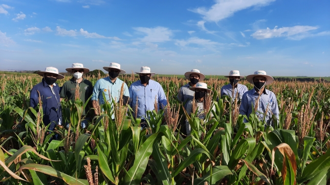 Agricultura natural ganha força no Brasil, por Eliara Nelisa Xavier Kon