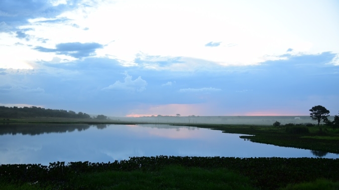 Com queimadas em alta, Pantanal pega fogo acima e abaixo da terra