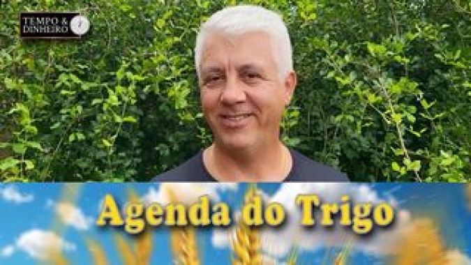 Em 2017 Na CME contratos em aberto a $4,45 e hoje na casa dos $7,50, mais o custo do capital