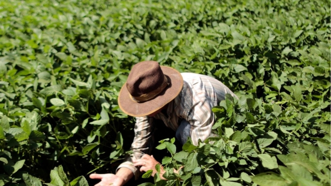 Nova edição da Revista Digital Notícias Agrícolas sai amanhã (24/07)