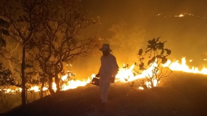 Chamas voltam a atingir Serra do Amolar, em Mato Grosso do Sul