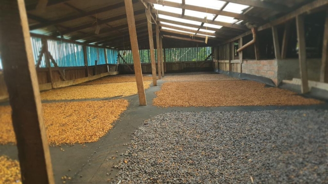 Exportações de 500.000 sacas de café são atrasadas por protestos na Colômbia