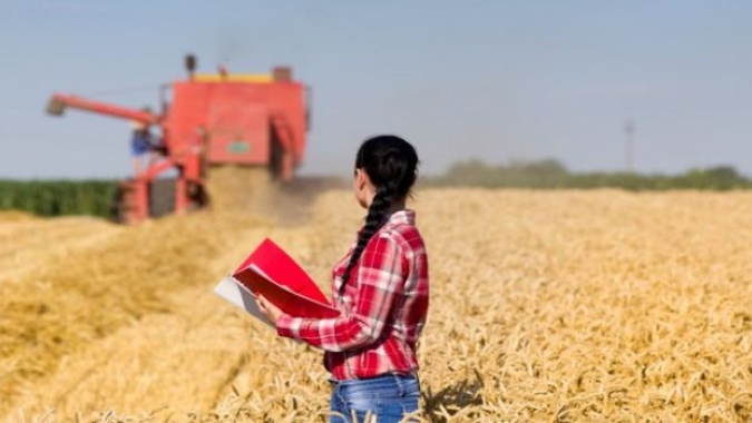 Lei institui política de estímulo ao empreendedorismo de jovens do campo